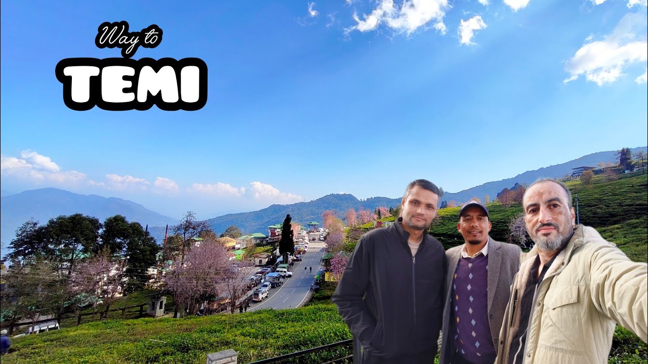 Way to Temi Tea garden, South Sikkim #lmsikkim