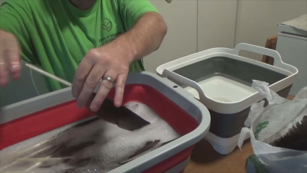 Cleaning Goose Feathers