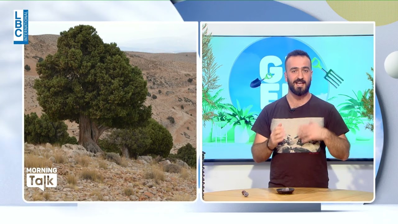 كيف يمكننا الحفاظ على شجر اللزّاب والاعتناء بها؟