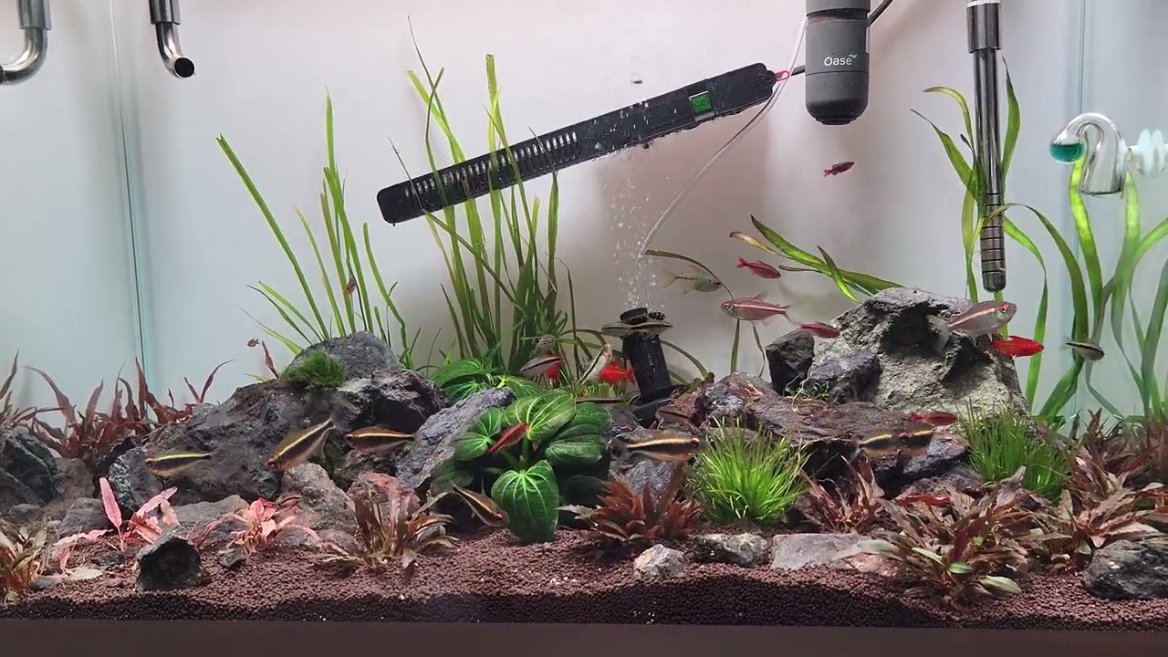 Eden Waterbox 40