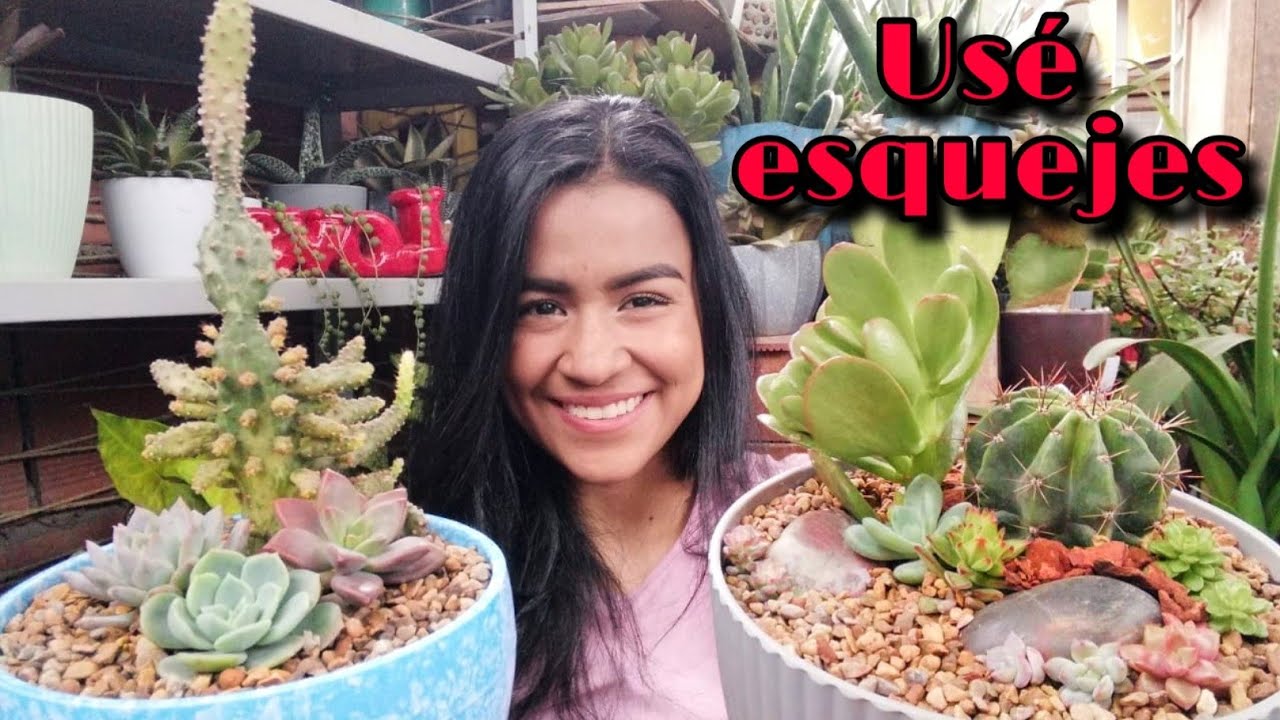 ESTOS SON LOS TRASPLANTES DE SUCULENTAS MÁS LINDOS QUE HE HECHO 👩🏽‍🌾🌱 | Jardines by Angie