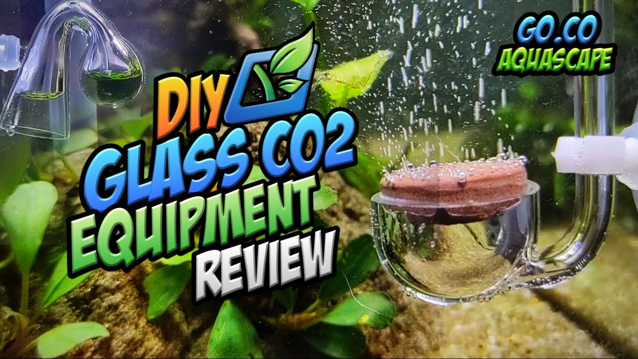 Diy Glass Co2 Equipment Review