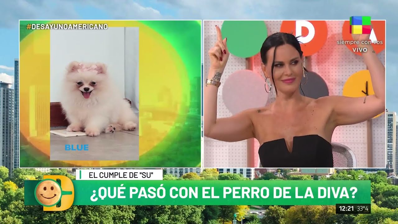 ¿Qué pasó con el perro que le regalaron a Susana Giménez?