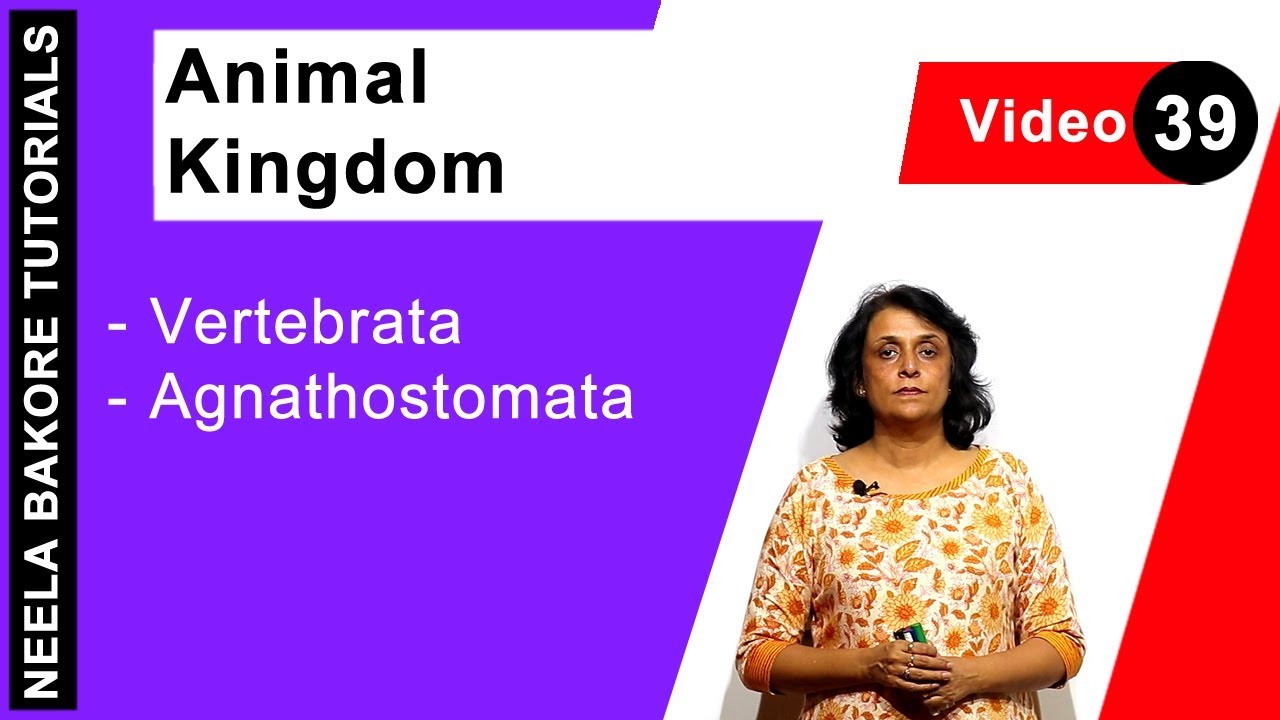Animal Kingdom | NEET | Vertebrata - Agnathostomata | Neela Bakore Tutorials