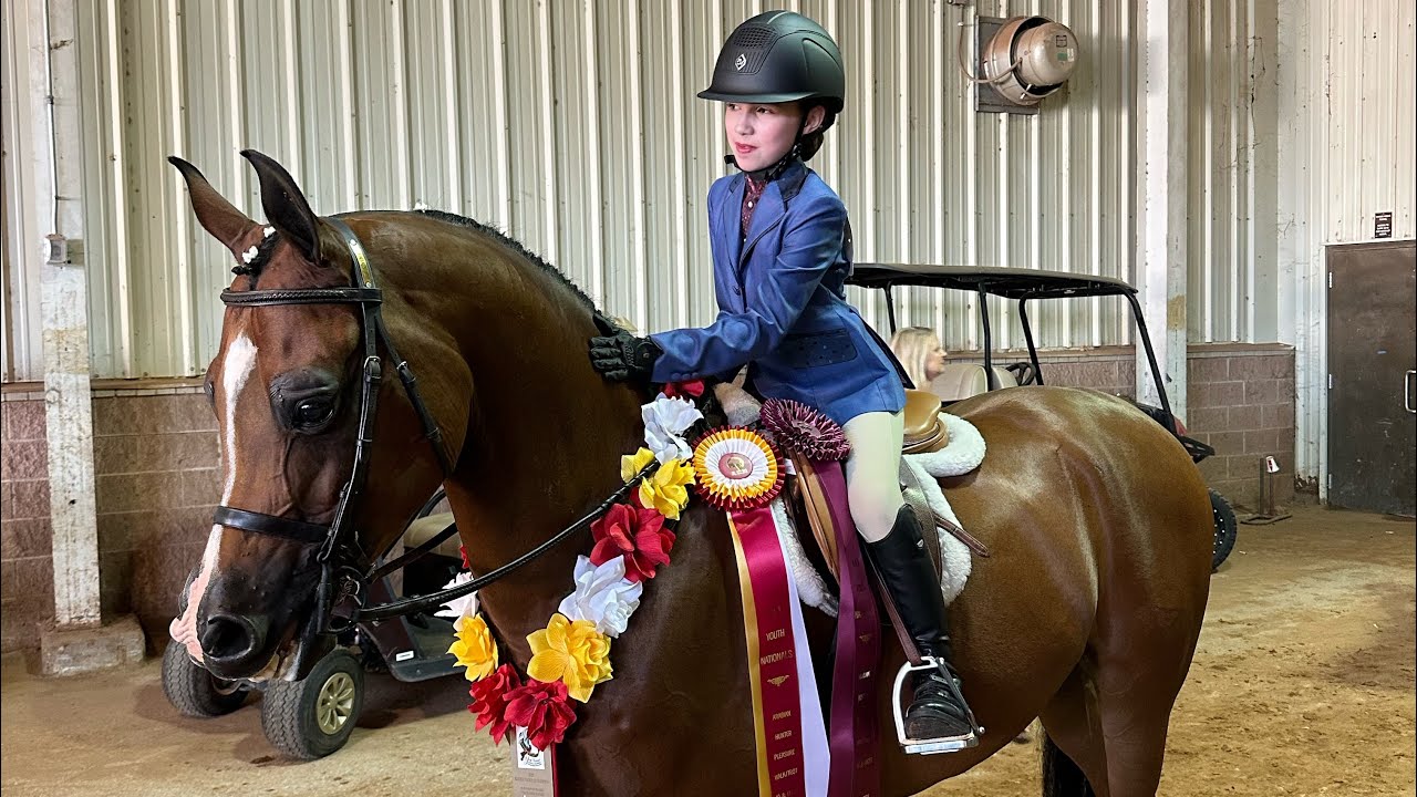 Reserve National Champions | Arabian Hunter Pleasure Walk/Trot 10 & Under