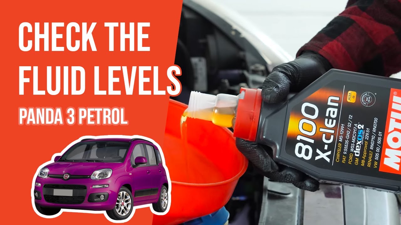 How to check the fluid levels Panda mk3 1.2 8V 📏