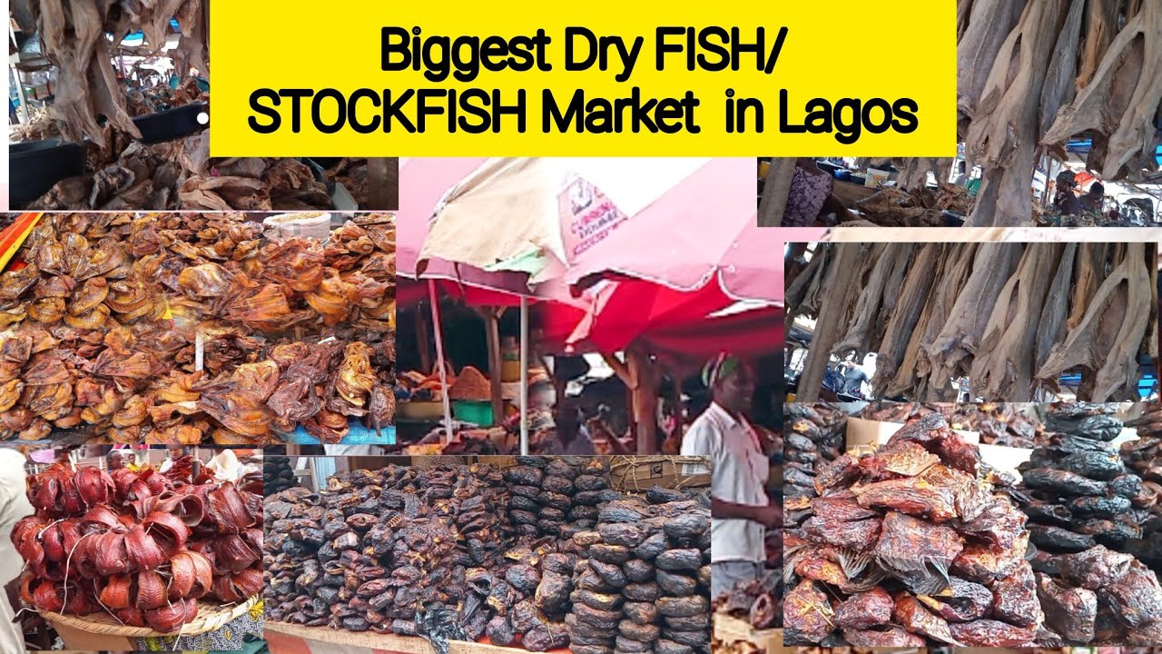 OTTO Market || cheapest & Biggest Dry Fish Market In Lagos, Raw Market Vlog | Current Price