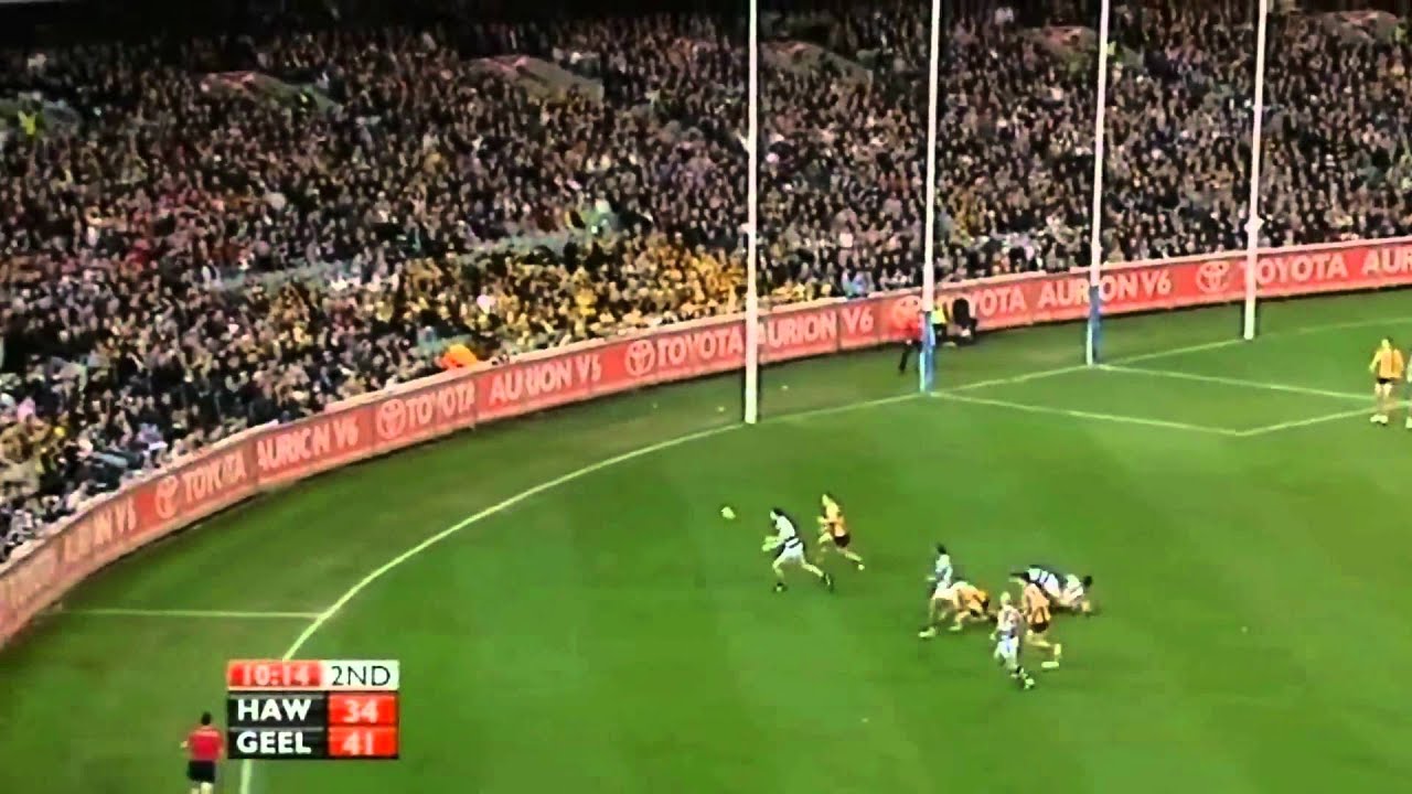 AFL 2008 Round 17 Geelong Vs Hawthorn