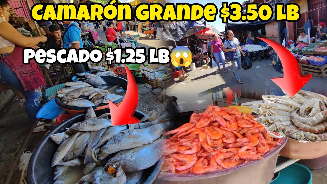 😲🚨precios de MARISCOS🦐🐟 EN MERCADO REGIONAL DE USULUTÁN EL SALVADOR... están BARATOS!!😱