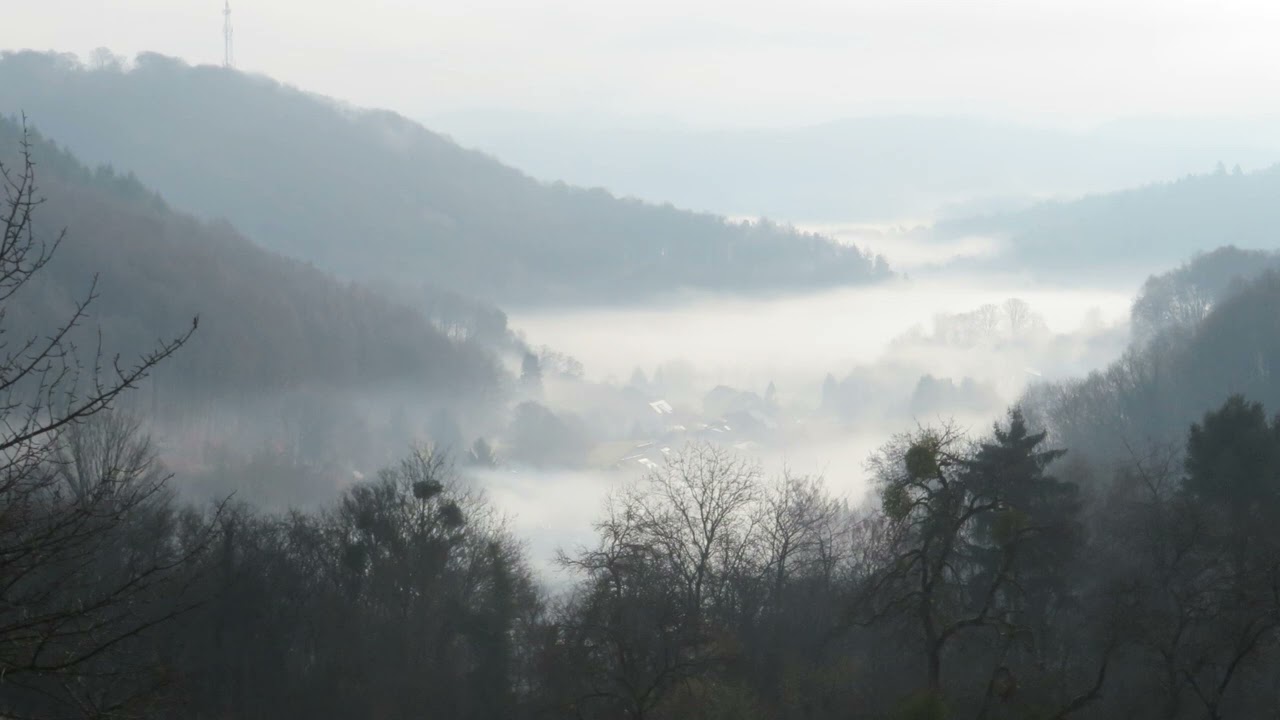 Nebel im Tal