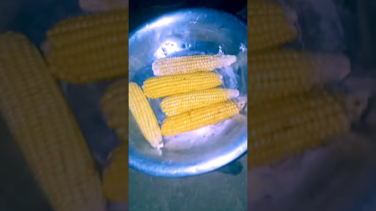 Assando milho verde 🌽🌽