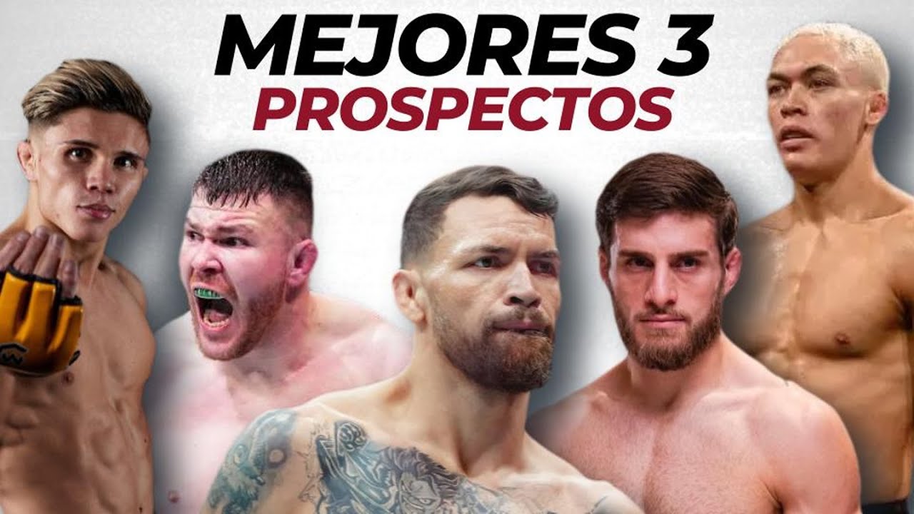 💥MEJORES 3 PROSPECTOS DE CADA DIVISION EN LA UFC💥 (2025)