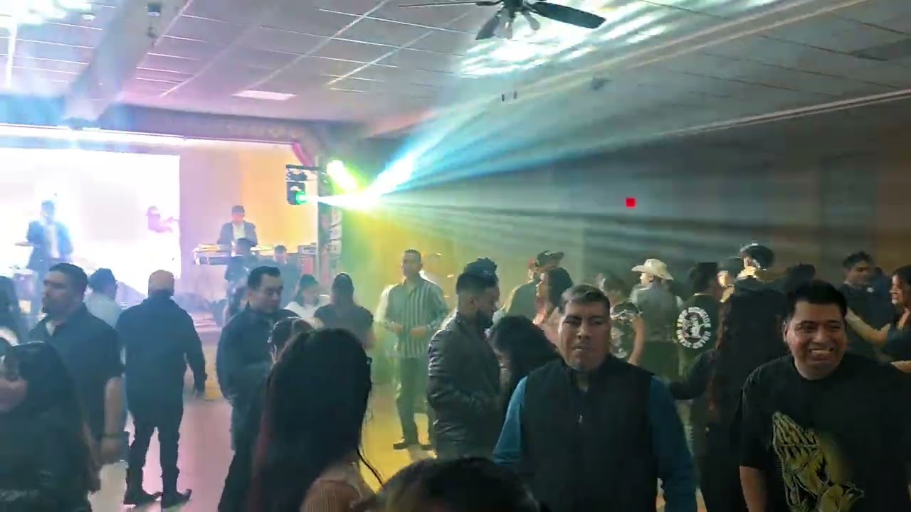 El Burro Loco [ENVIVO]