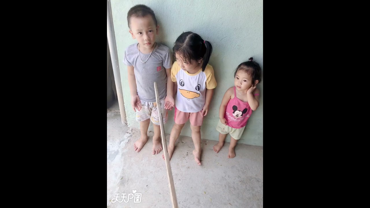 Khi thị nhím cùng anh chị bị mẹ phạt vì tội bắt mèo con để nghịch