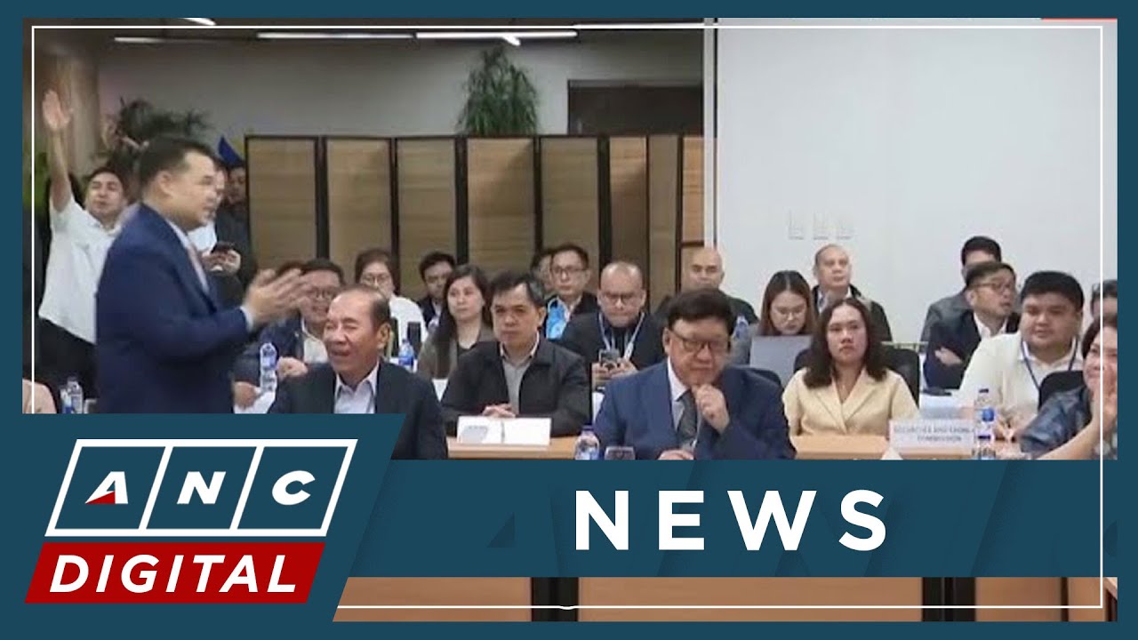 WATCH: Rep. Leila de Lima on Independent People's Commission, Enrile acquittal, Villanueva dismissal