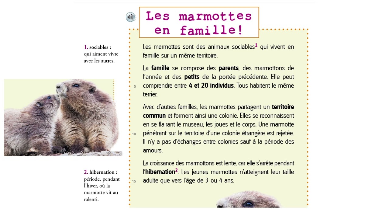 Alouette CE1 : unité 3 Les marmottes en famille
