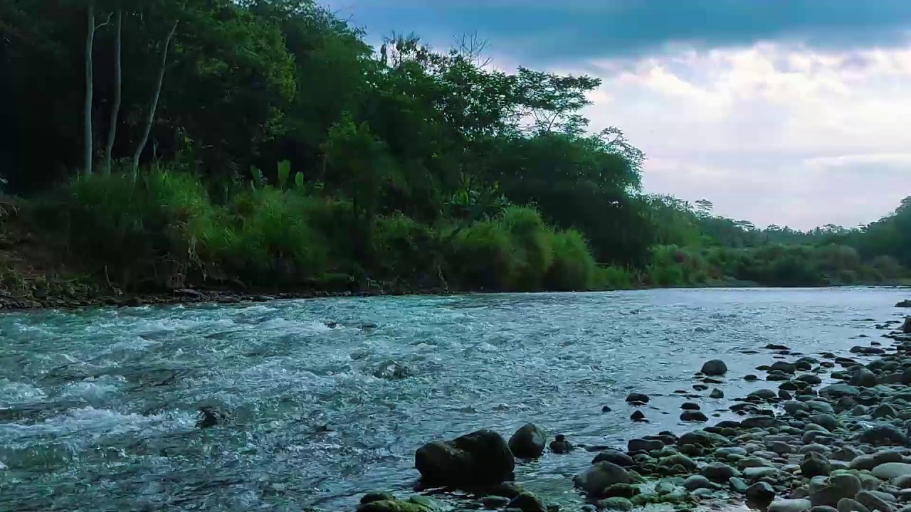 Calming River Water Sounds  Sleep Fast  Insomnia Relief