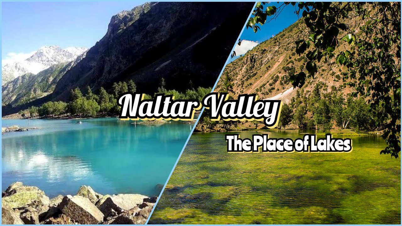 Naltar Valley|The hidden Gem|Blue Lake|Satrangi Lake