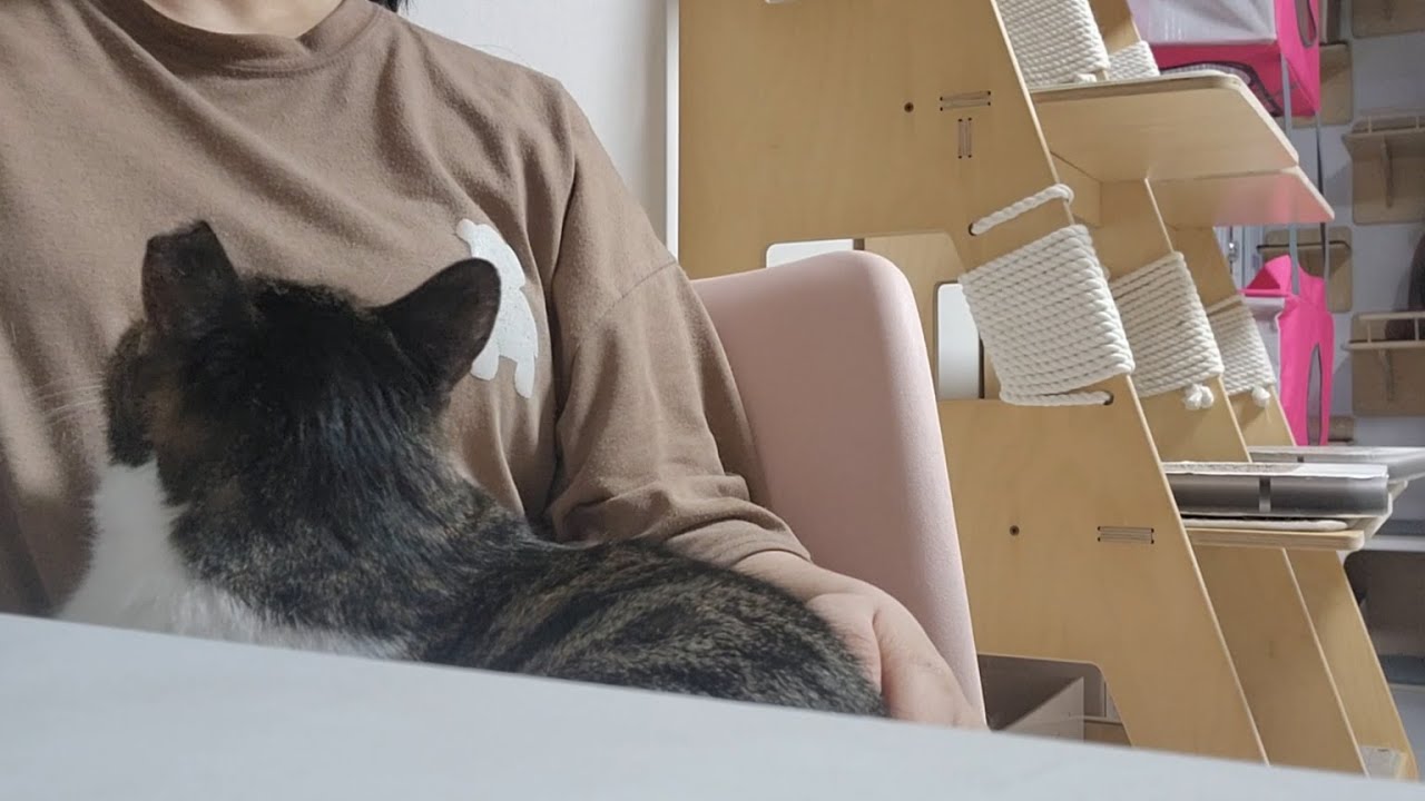 요즘 아재는 더 이상 우다다를 하지 않아요