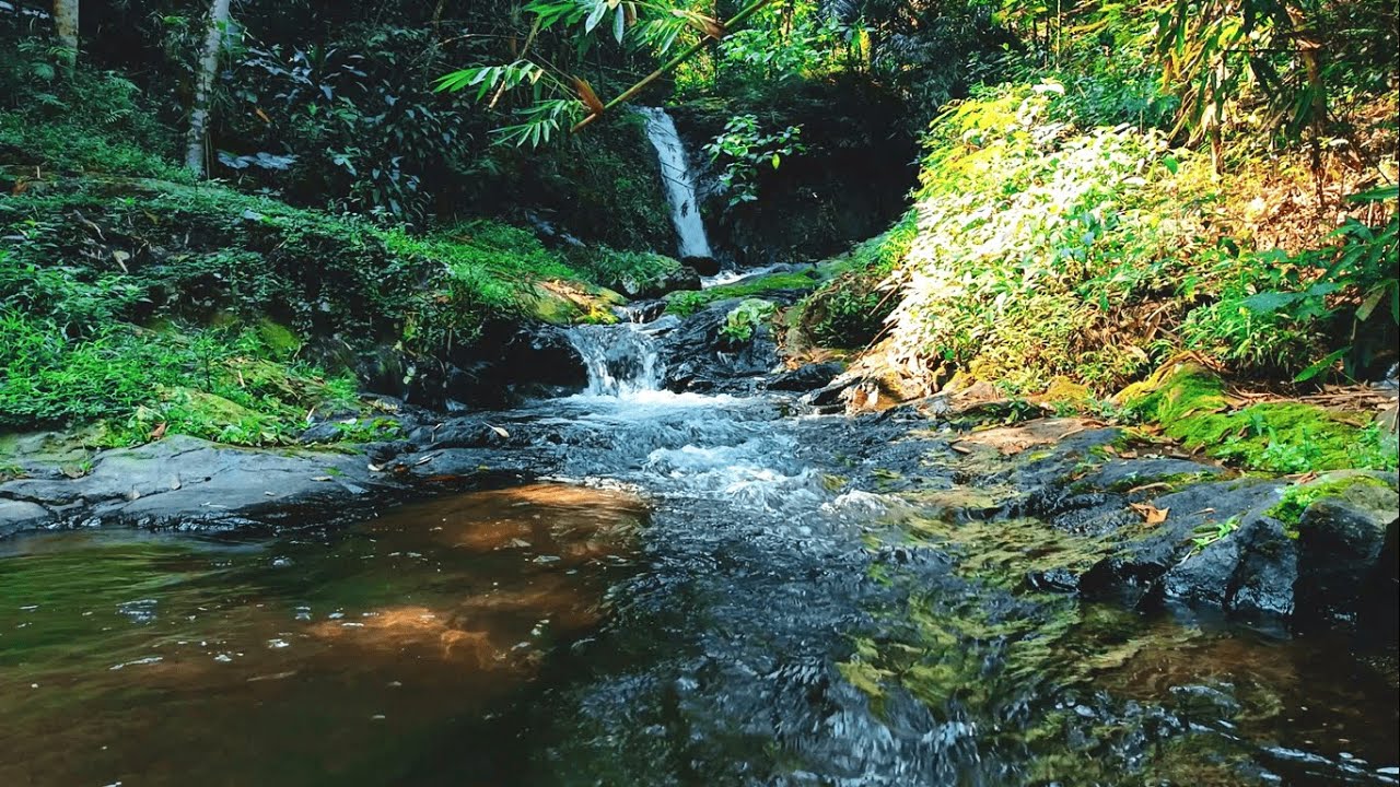 Relaxing Stream Water Sounds Natural Water ASMR for Sleep, Study & Meditation