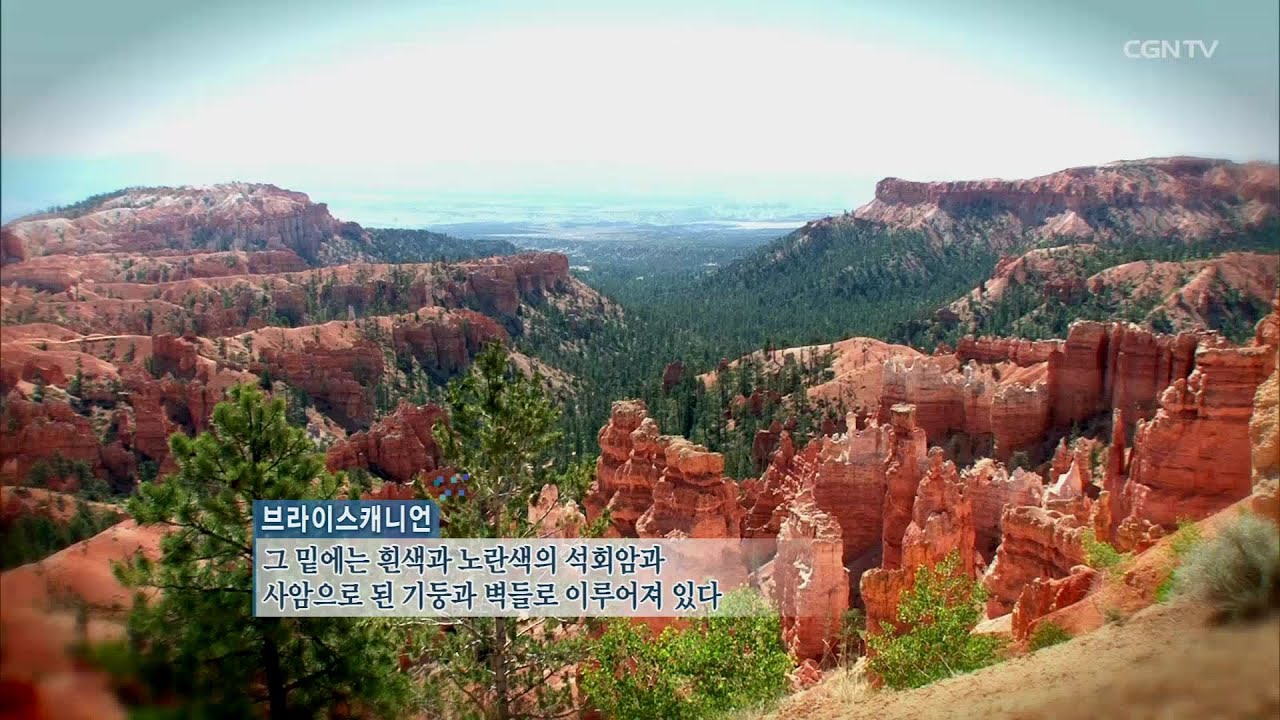 처음이 좋았습니다 | 창조과학탐사 다큐멘터리 | 다큐 ①