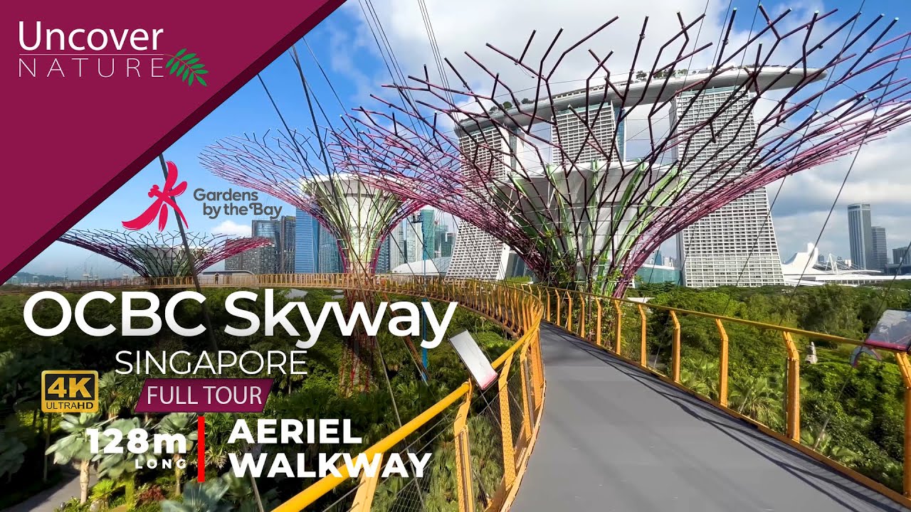 OCBC Skyway | Gardens by the Bay | Singapore | 4K