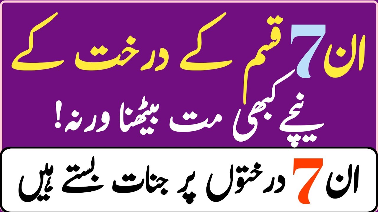 Never Sit Under These 7 Trees at Night | Jinn Presence Revealed_Deeni Guidance Point
