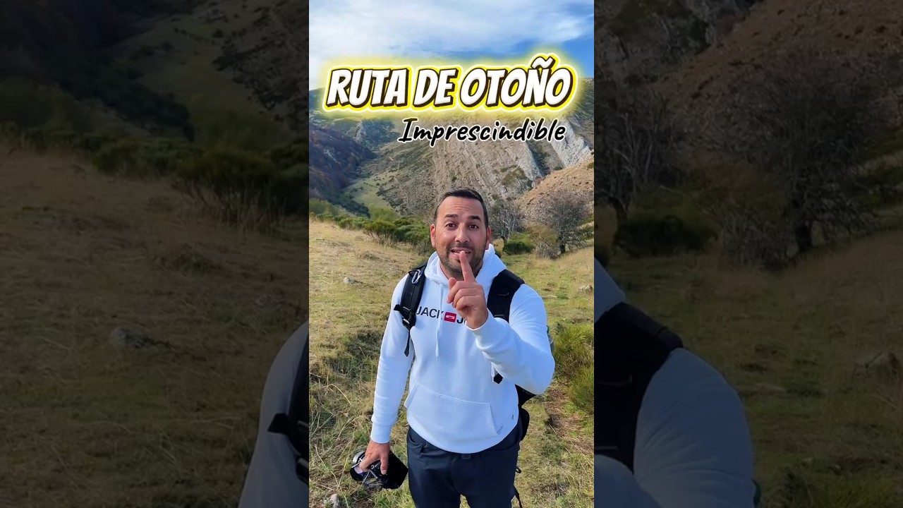 Hayedo de la Boyariza. 