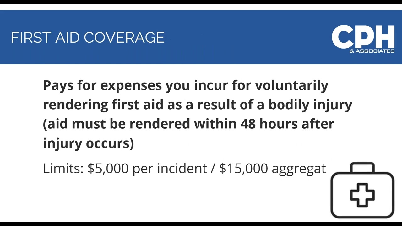 The Basics of Professional Liability Insurance  Sarah Holiona Webinar