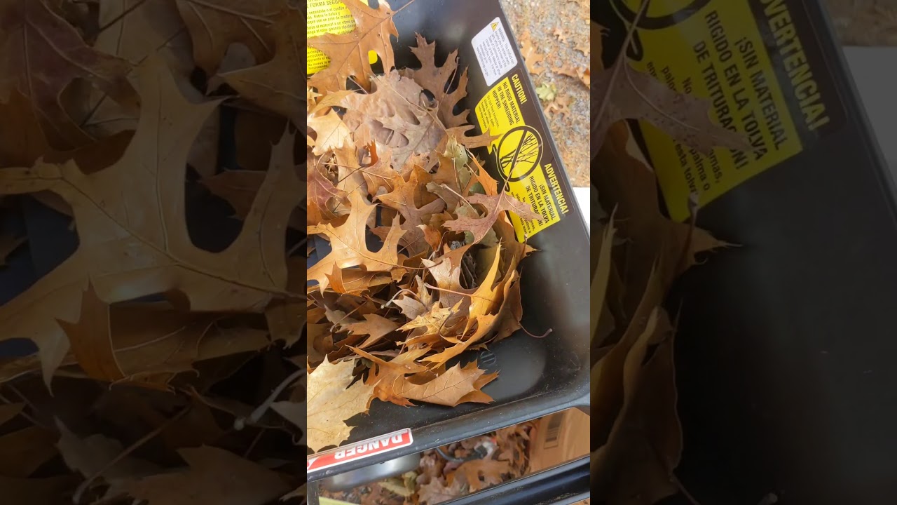 Patriot Electric Chipper Shredder Demo