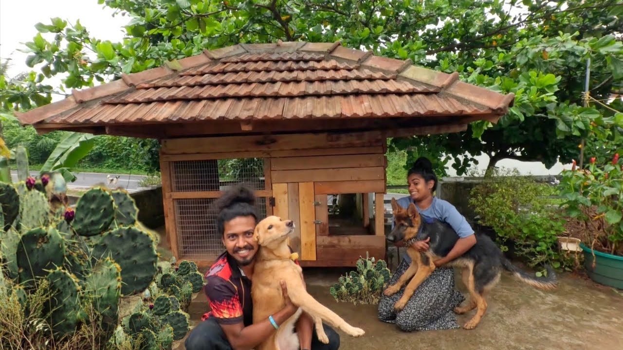 ജാക്കിക്ക് പുതിയ വീട് വച്ചു  🏡🏡  The Traditional Dog Cage 🐕🐕