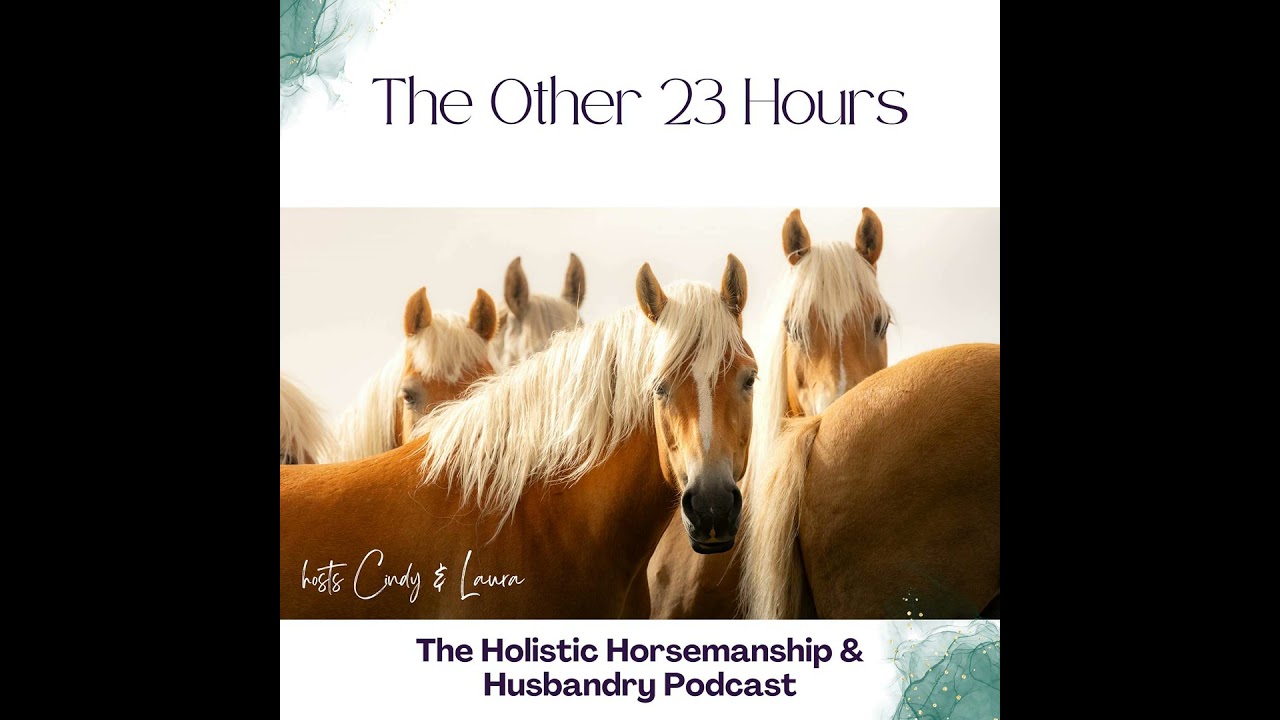 Your Horse's Life - What Do the Other 23 Hours Look Like?