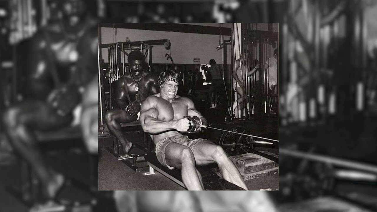 Tom Platz, Kevin Levrone, Mike Mentzer x Bodybuilding