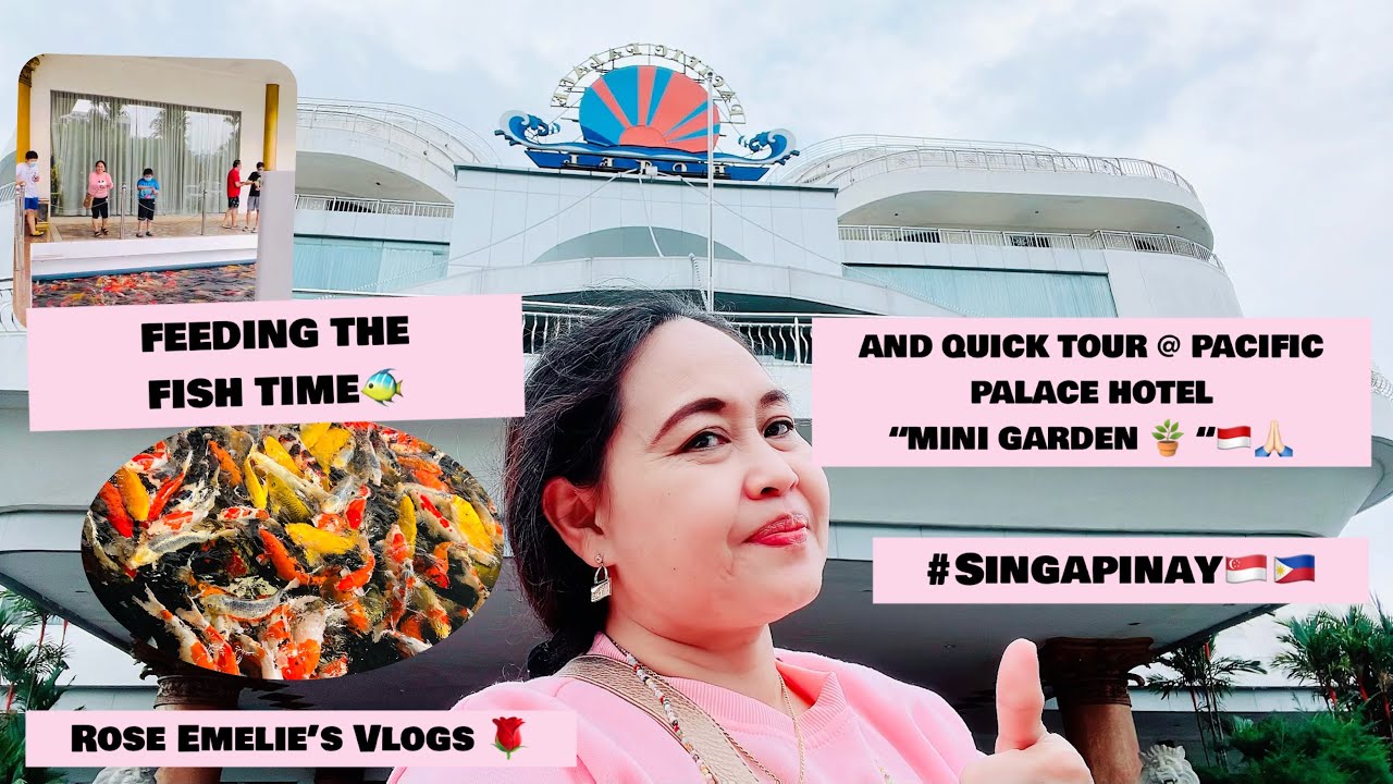 FEEDING THE FISH TIME | AND QUICK TOUR @ PACIFIC PALACE HOTEL 🏨 MINI GARDEN Rose Emelie’s Vlogs 🌹