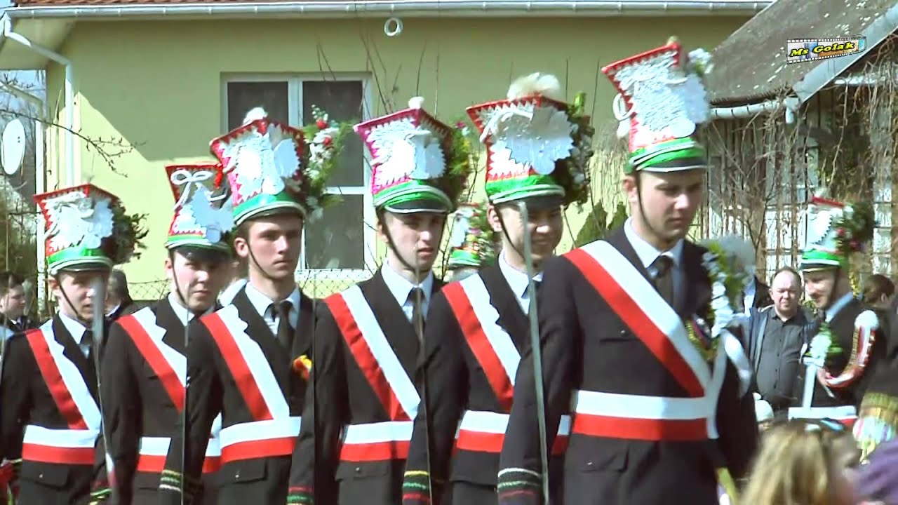 TURKI - Gniewczyna Łańcucka 2016 / podkarpackie /