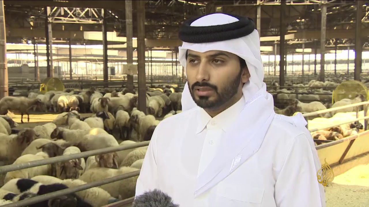 هذا الصباح-قطر.. وزارة الاقتصاد تطرح مبادرة 