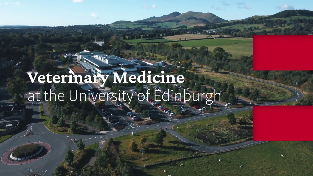 Veterinary Medicine at the University of Edinburgh (2023-4)