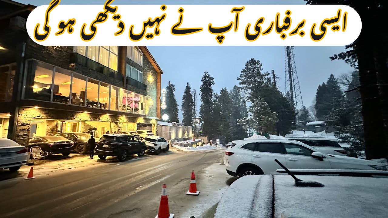 Nathia Gali Live Snow Fall ❄️ / Unique Snow fall in Galiyat Nathia