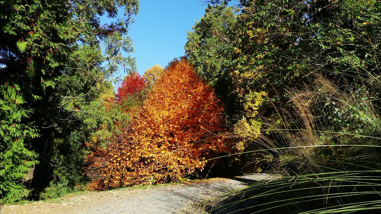 L'estate svanisce e passa, e arriva ottobre con i suoi colori .