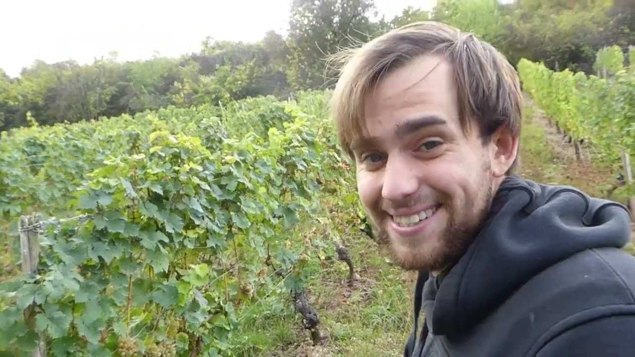 Binz 2025 harvest