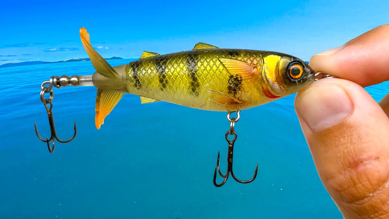 This NEW Lure is Amazing!
