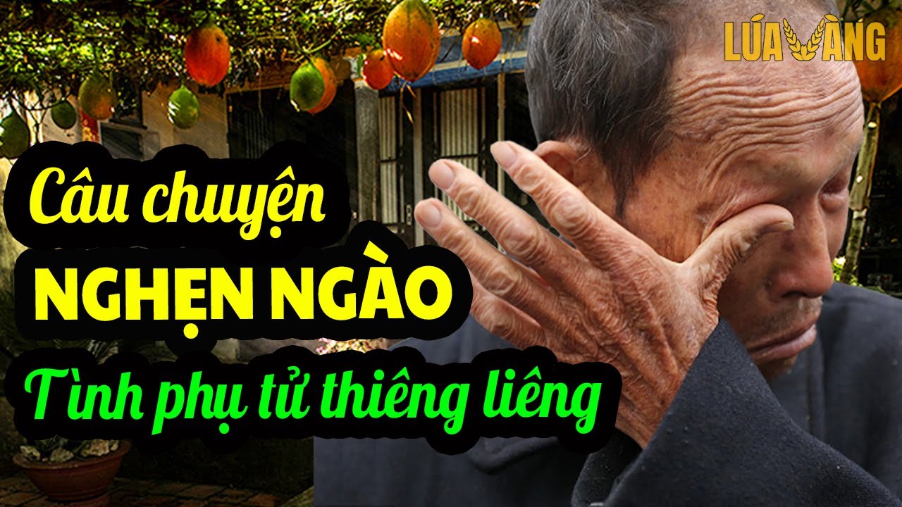 Câu Chuyện Cảm Động Về Tình Phụ Tử Thiêng Liêng Của Cha Con Người Mông - RAU CAY | Lúa Vàng