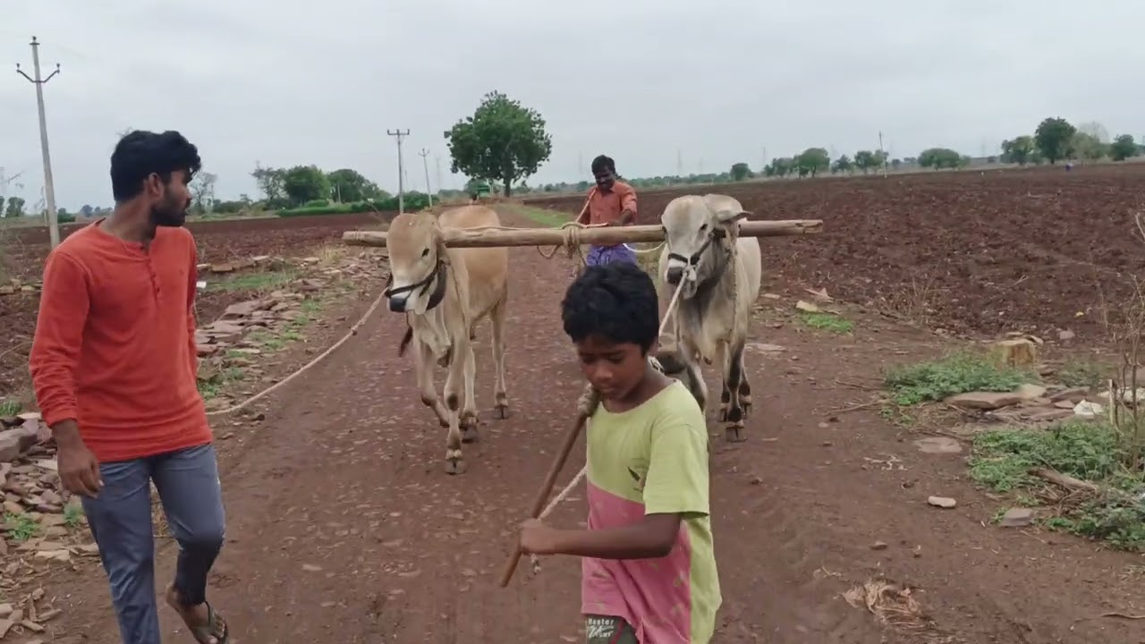 సాధనే విజయానికి తొలిమెట్టు 👍