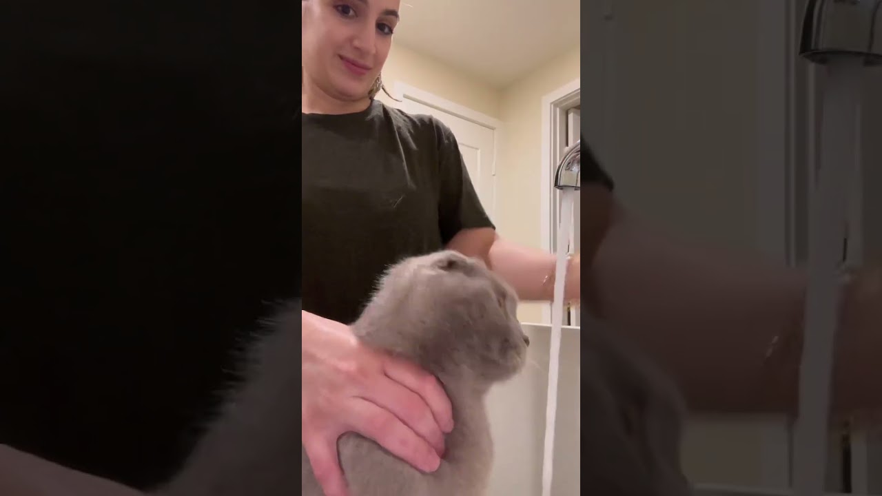 НЕНАВИЖУ ЭТОГО ДЕЛАТЬ, НО ЭТО БЫЛО НЕОБХОДИМО!