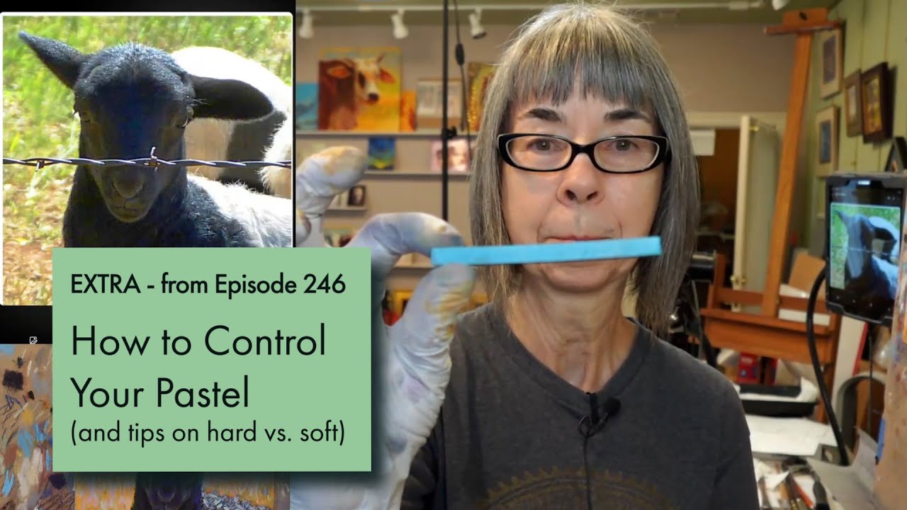 Rita Kirkman's VOS EXTRA - How to Control Your Pastel (and tips on hard vs soft)