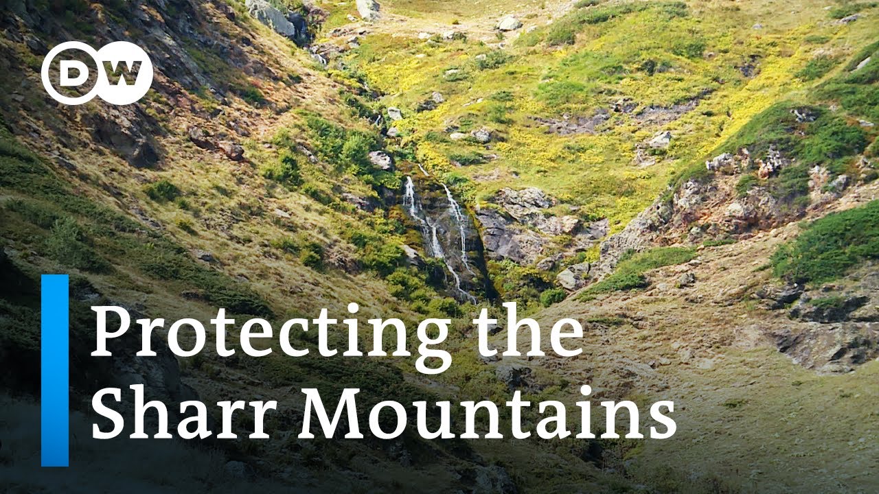 North Macedonia: Protecting the Sharr mountains | Global Ideas