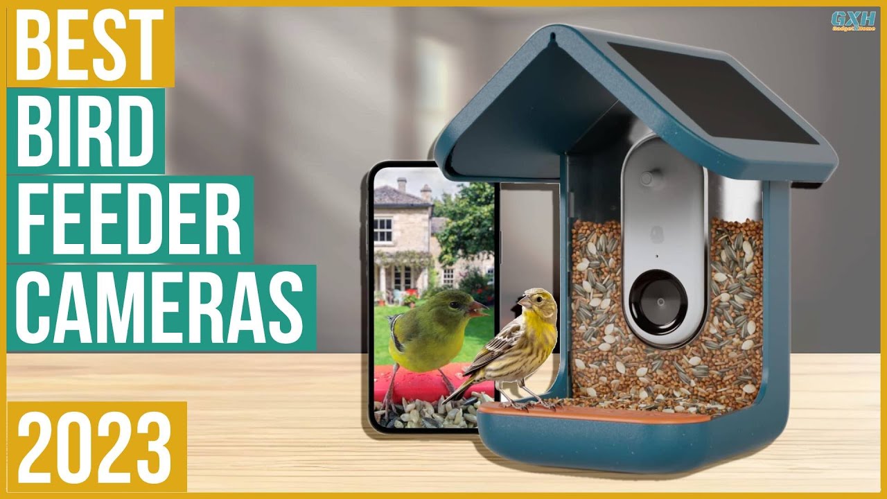 Best Bird Feeder Camera 2023 - Top 5 Best Bird Feeder Cameras 2023