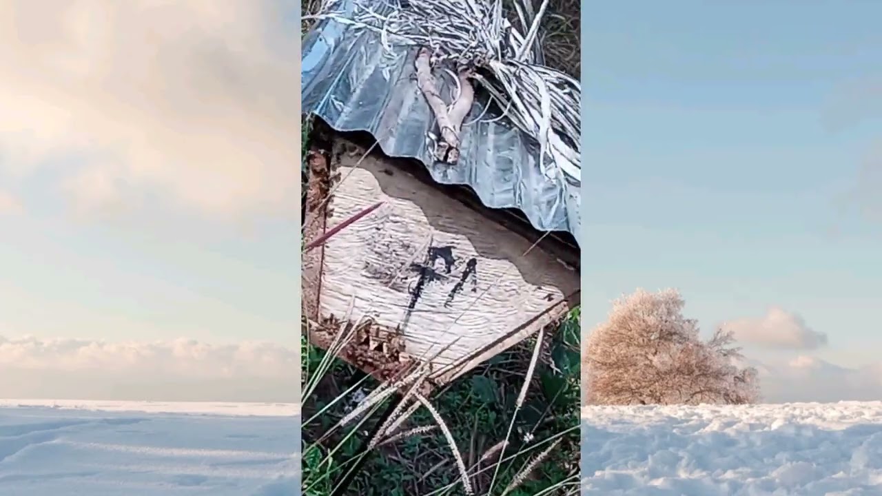 One of Best beekeeping Company in Nigeria 🐝🐝🐝