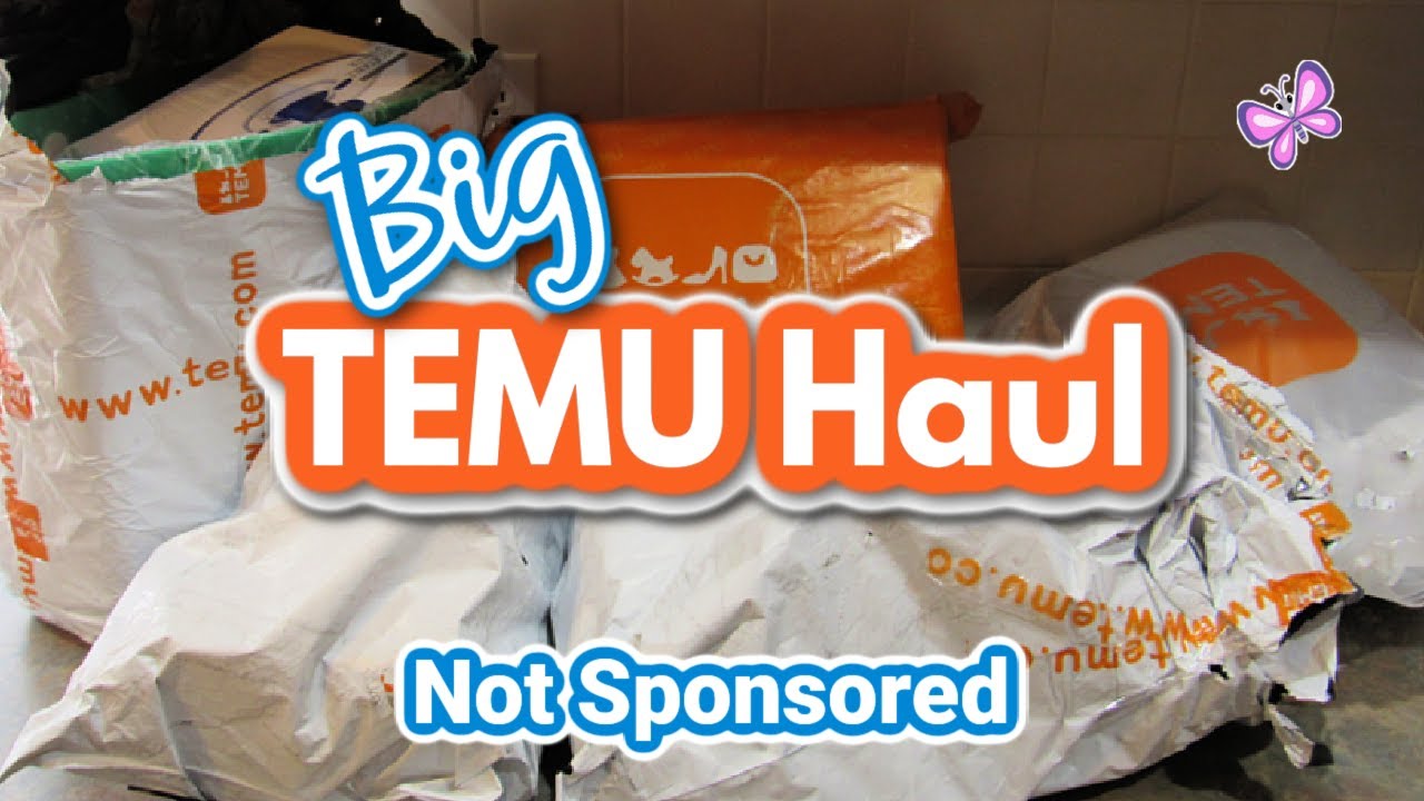 BIG TEMU Haul!  NOT SPONSORED! Check out all the fun things I got!  Ft. Evie the Chihuahua!