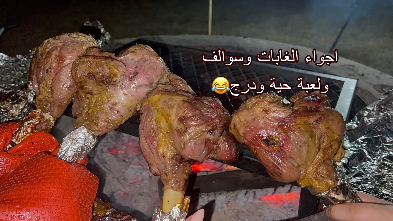 قوزي على الحطب في الطبيعة| غمض عين فتح عين الشتاء راح وين؟|سوالف و ضحك| قطرالندى